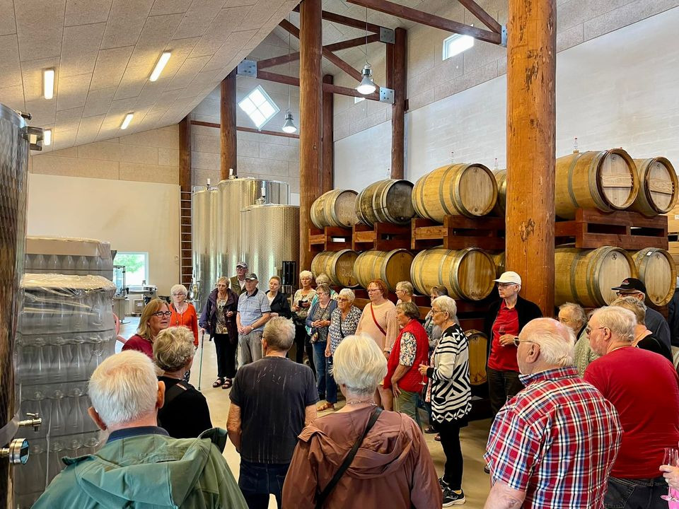 Hold trit med lokalområdet: Nyt fra Herning