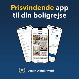 Opslagsbillede