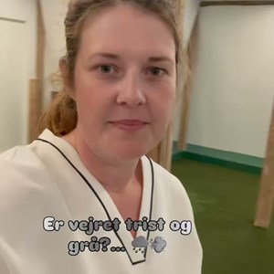 Opslagsbillede
