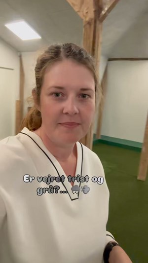 opslagsbillede