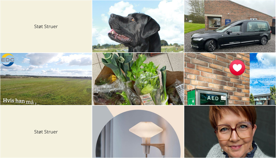 Nyt fra THUSGAARD LIVING, Lux By Jakobsen, KRABBES BEGRAVELSESFORRETNING og 4 andre