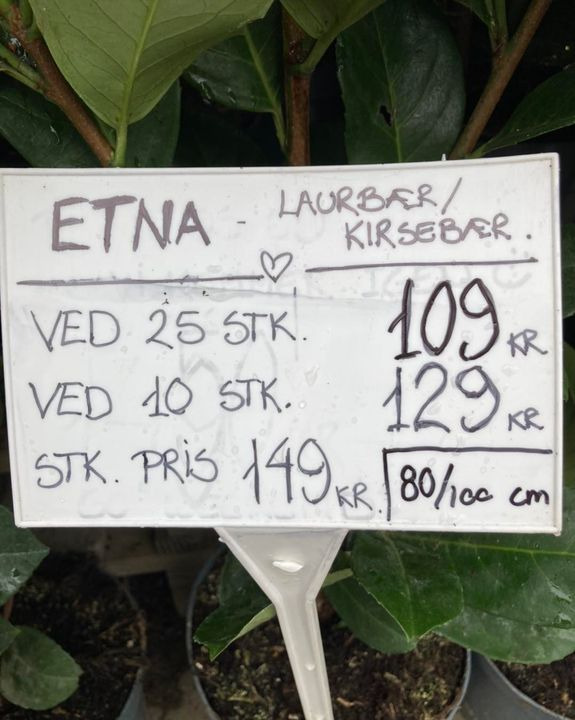 Opdatér dig her: Det nyeste fra Hobro