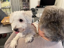 Hverdagsøjeblikke giver det bedste job