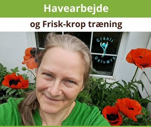 opslagsbillede