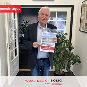 Opslagsbillede