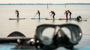 SUP og sank muslinger med SHORES i Naturens Uge