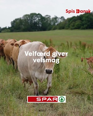 opslagsbillede