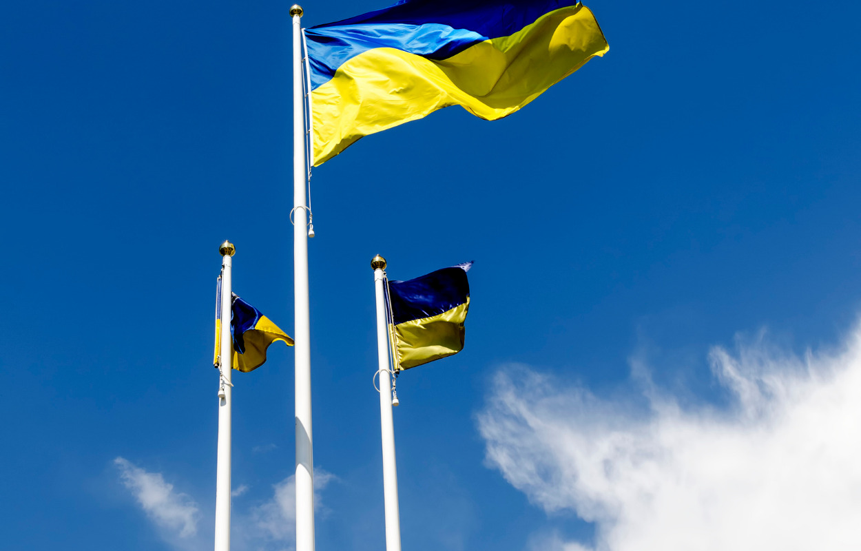 Aarhus Kommune: Erhvervslivet skal finde jobs til ukrainere