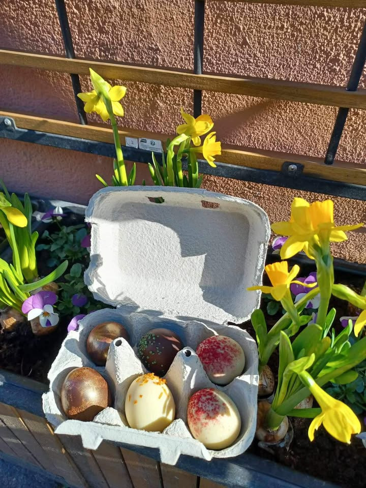 Bruuns Chokolade præsenterer: Fin æggebakke med 6 marcipanæg i forskellige smage