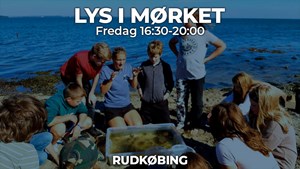 Oplev livet under vandet til Lys i Mørket i Rudkøbing