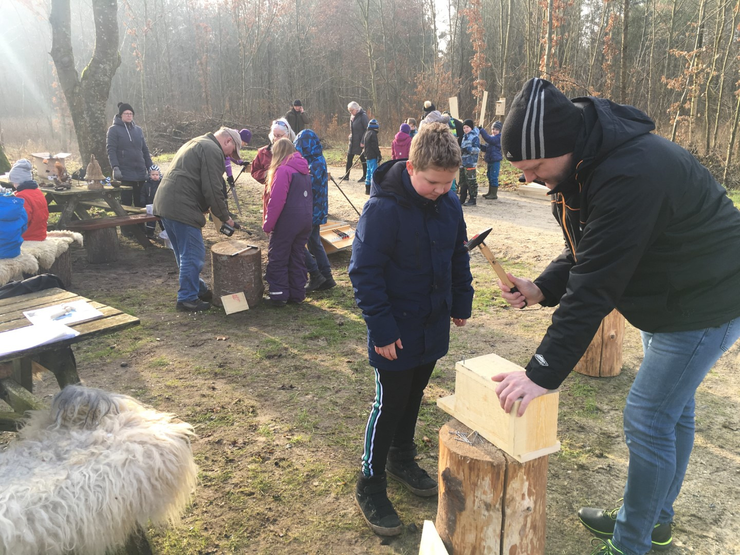 Efterårsferieaktiviteter i skoven: Byg fuglekasser og lav fuglemad
