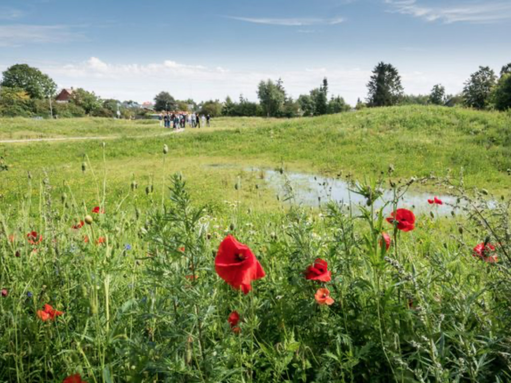 Gladsaxe deler erfaringer om verdensmål med FN