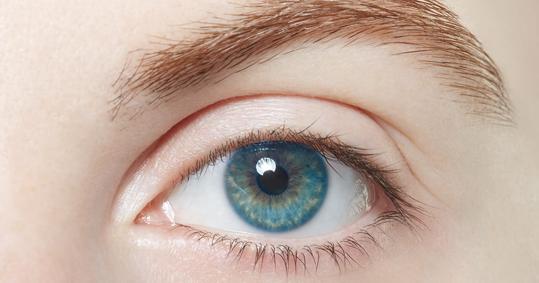 Hold trit med lokalområdet: Nyt fra Ikast