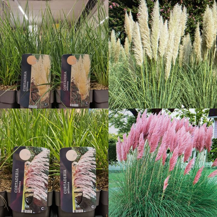 Opslagstavlen: Nyeste opdateringer fra Odder