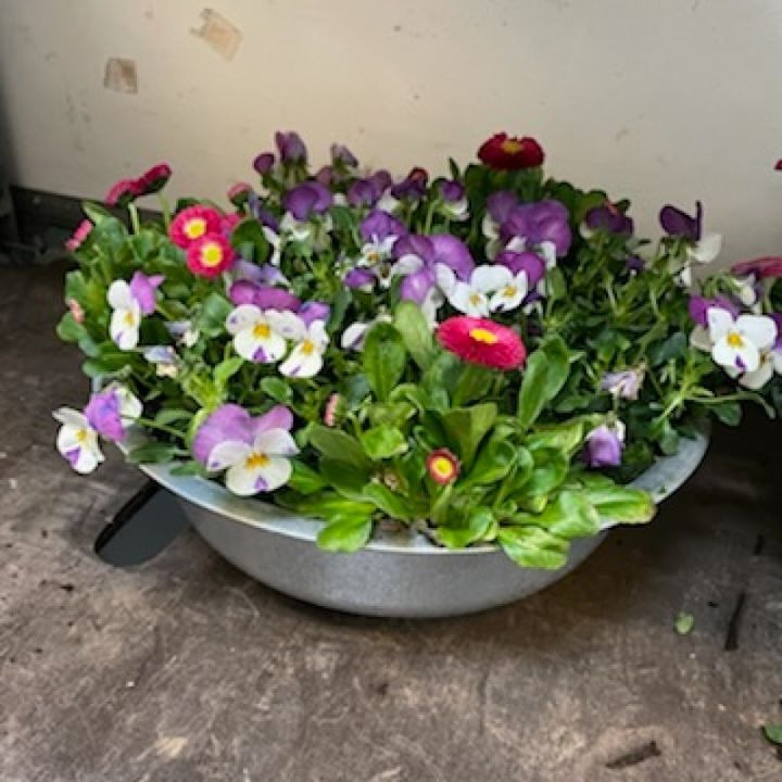 Nyt på opslagstavlen i Silkeborg