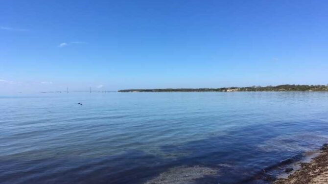 Vandretur langs Storebælt: Oplev naturen med Dansk Vandrelaug