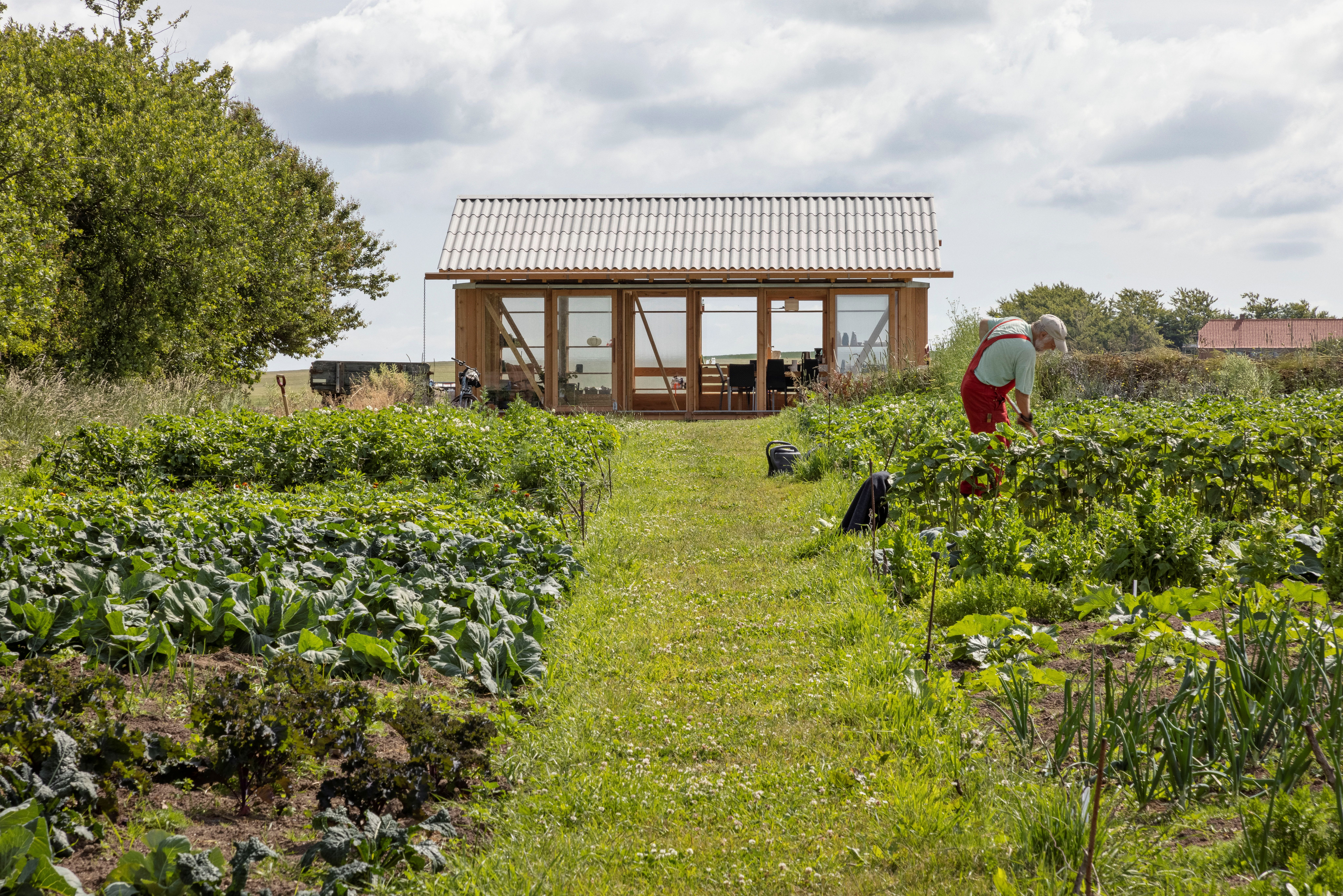 Realdania genbruger minkfarme til at give 150 fællesskaber tag over hovedet