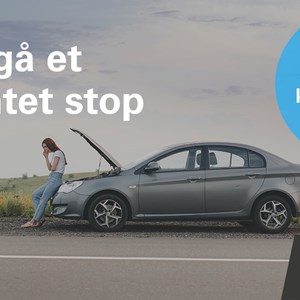Opslagsbillede