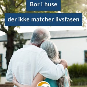Opslagsbillede