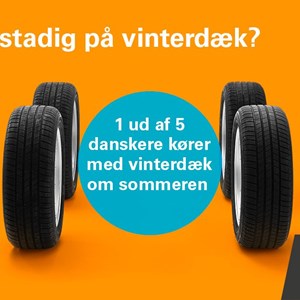 Opslagsbillede