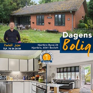 Opslagsbillede