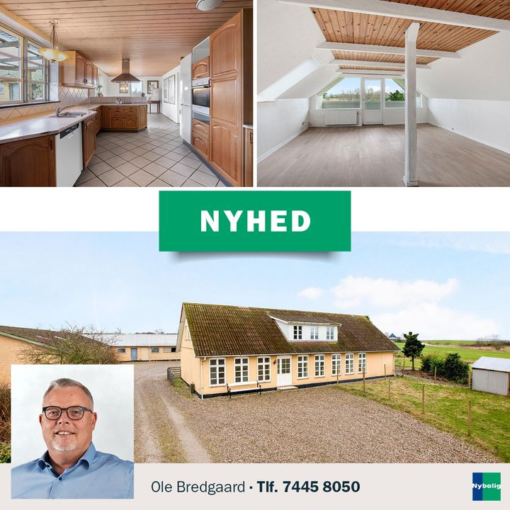 Opdatér dig her: Det nyeste fra Nordborg