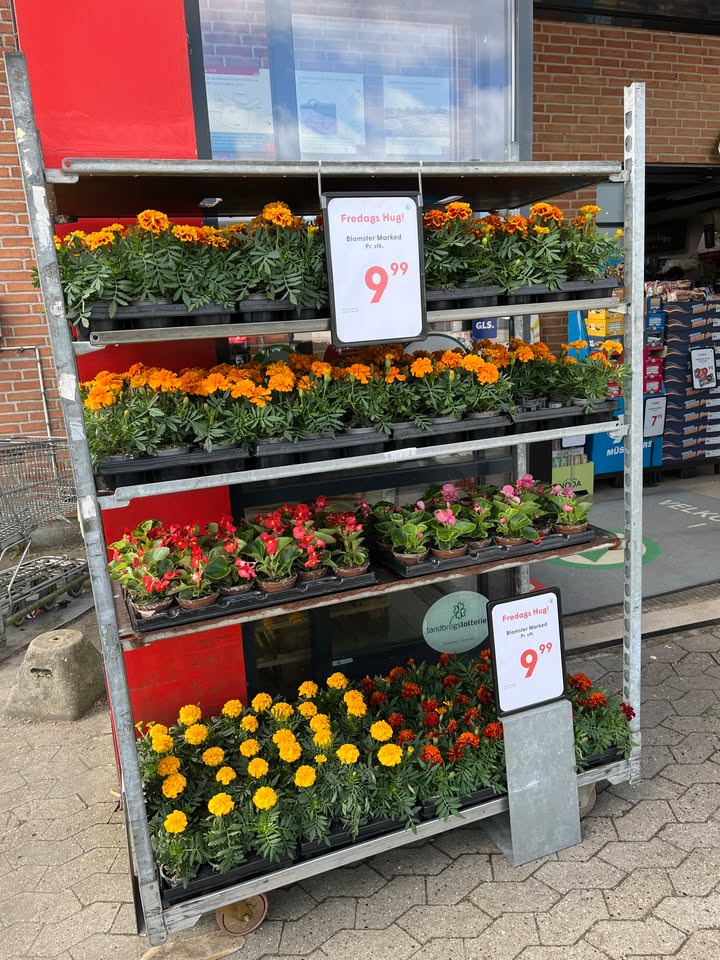 Spar Fårup tilbyder søndagsblomster til lavpris