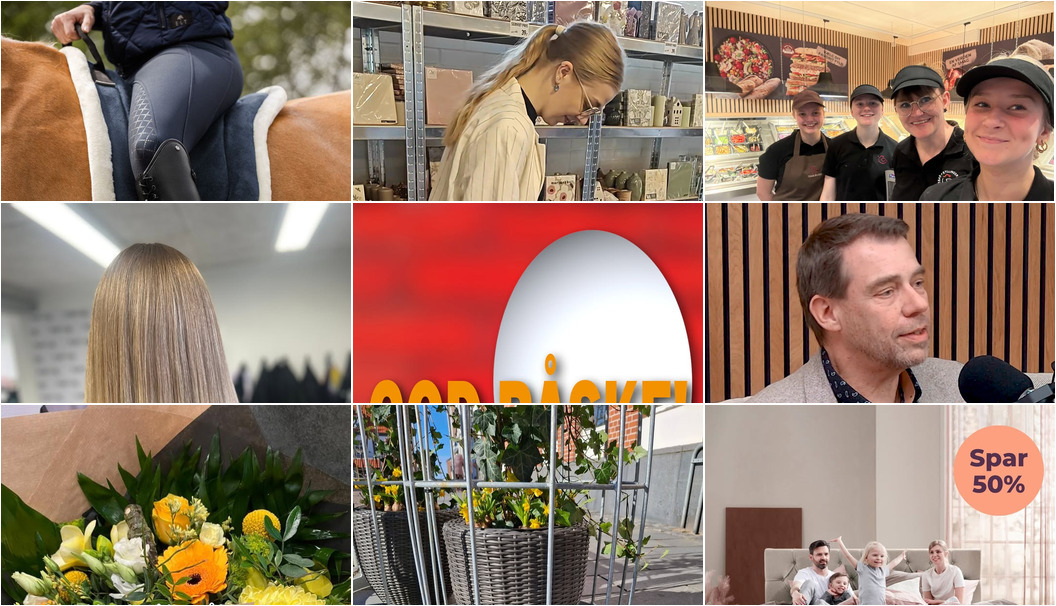 Nyt fra Møllegårdens Camping, Guldblomsten, Kylling & Co og 7 andre