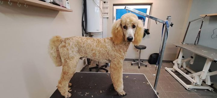 Opdatér dig her: Det nyeste fra Sæby