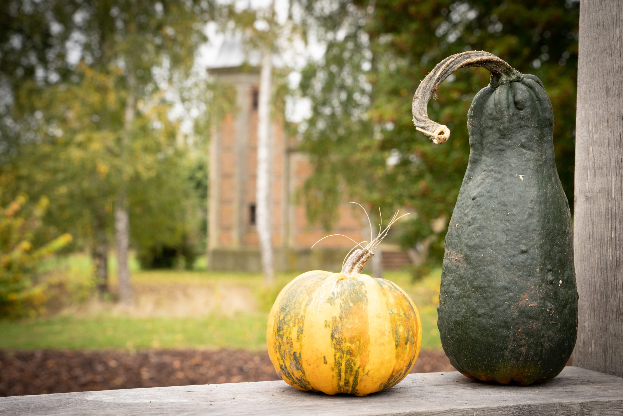 Græskardag og kreativ workshop på Rønnebæksholm