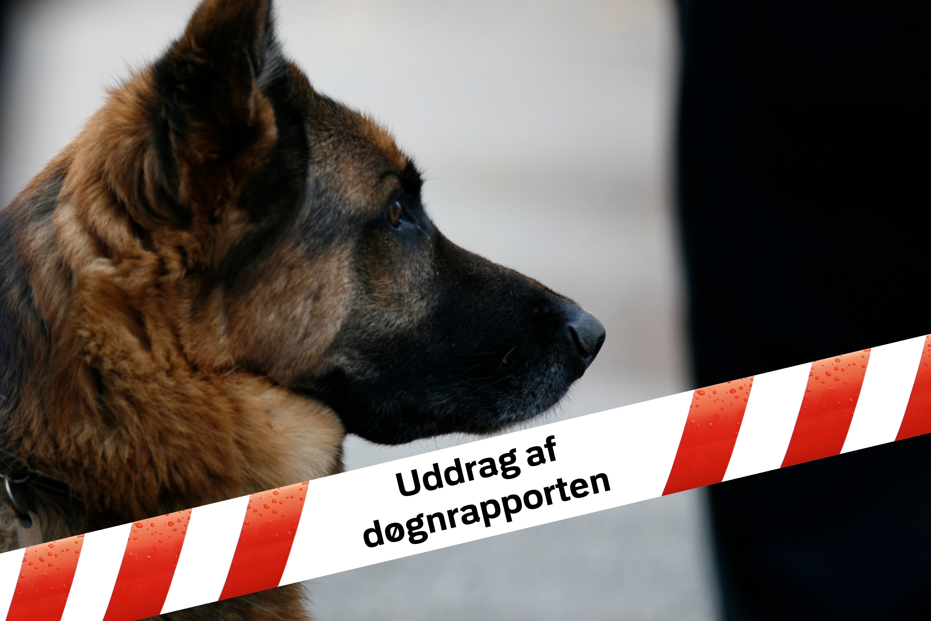 Nyt fra Korsør i politiets døgnrapport