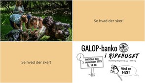Pak madpakken eller spil banko i Vig - Se hvad der sker den kommende uge