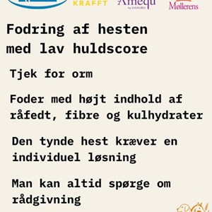Opslagsbillede