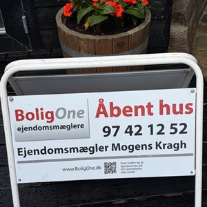 Opslagsbillede