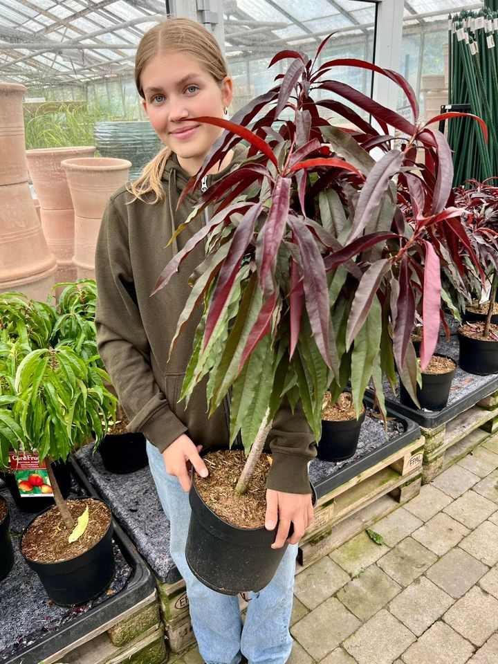 En finger på pulsen i Sæby