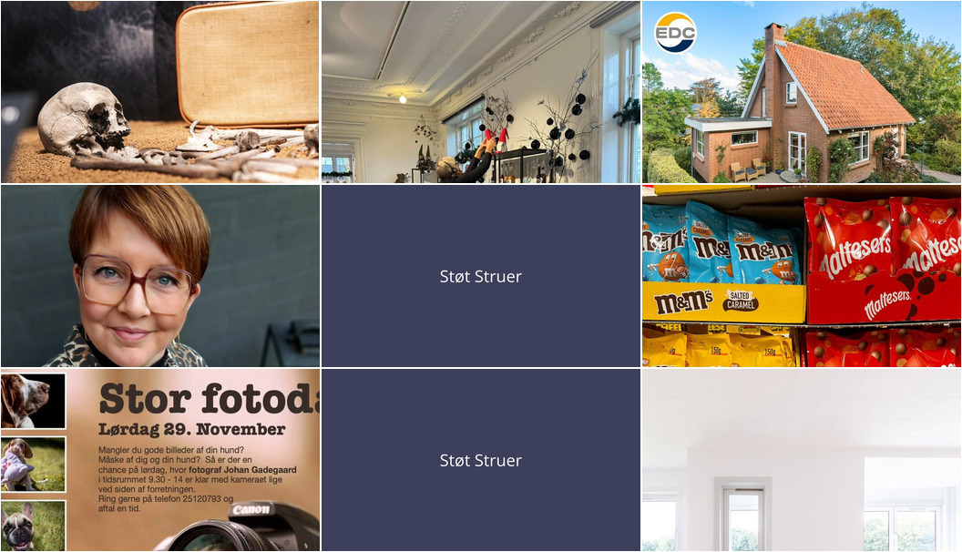 Nyt fra Lux By Jakobsen, CAMILLAS DYRECENTER, Folkets Hus og 4 andre