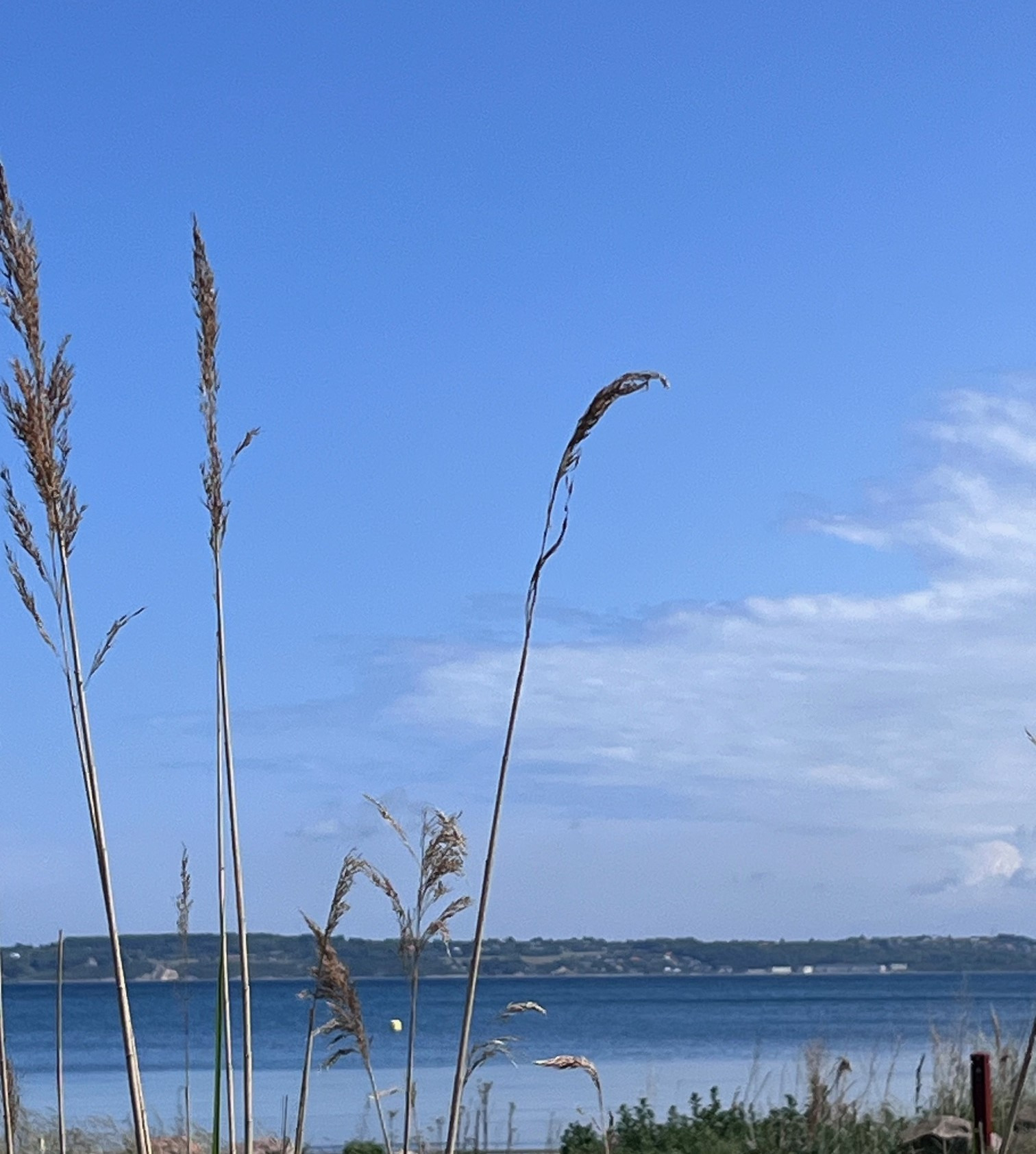 Oplev historien ved Kalundborg Fjordens munding