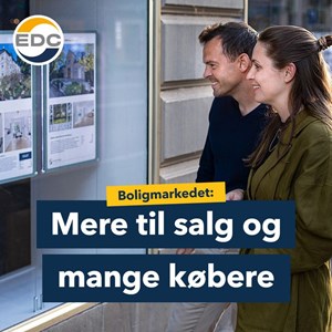 Opslagsbillede