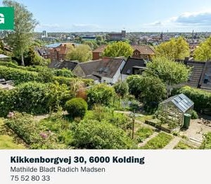 Opslagsbillede