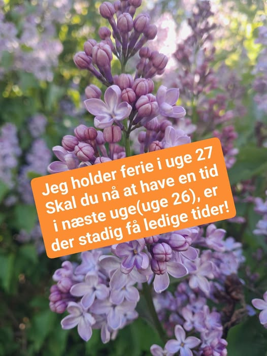 Fysioterapien Lund har ledige tider i uge 26 inden ferie i uge 27