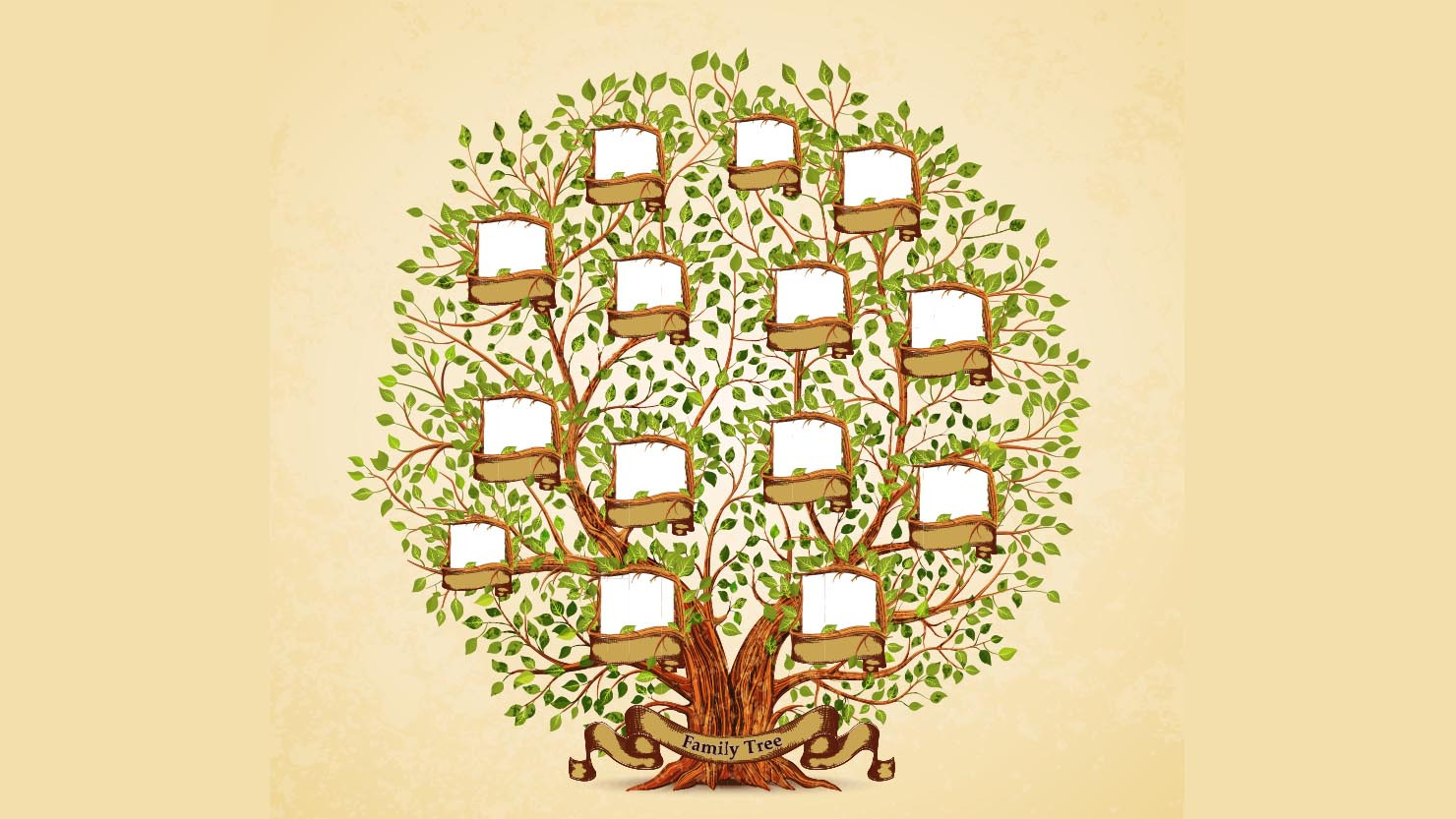 Slægtsforskningscafé på Hvidovre Hovedbibliotek