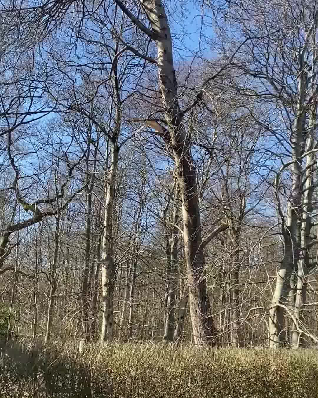 Opslagstavlen: Nyeste opdateringer fra Dronninglund