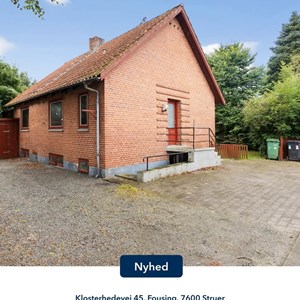 Opslagsbillede