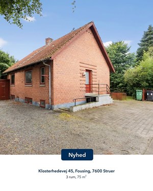 opslagsbillede