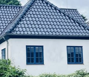 Opslagsbillede