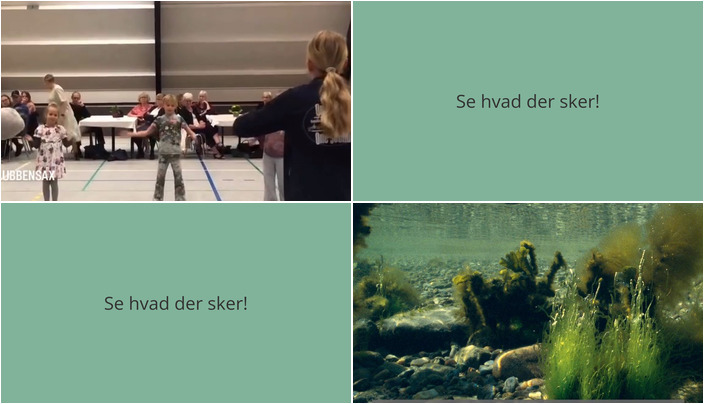 Stubbekøbing byder på dans og foredrag i den kommende uge