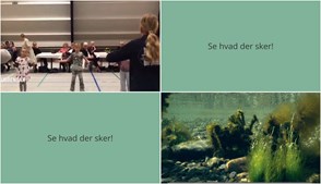 Stubbekøbing byder på dans og foredrag i den kommende uge