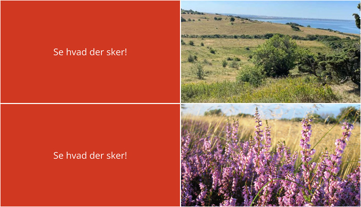 Udforsk naturskønne og historiske områder i Fårevejle den kommende uge