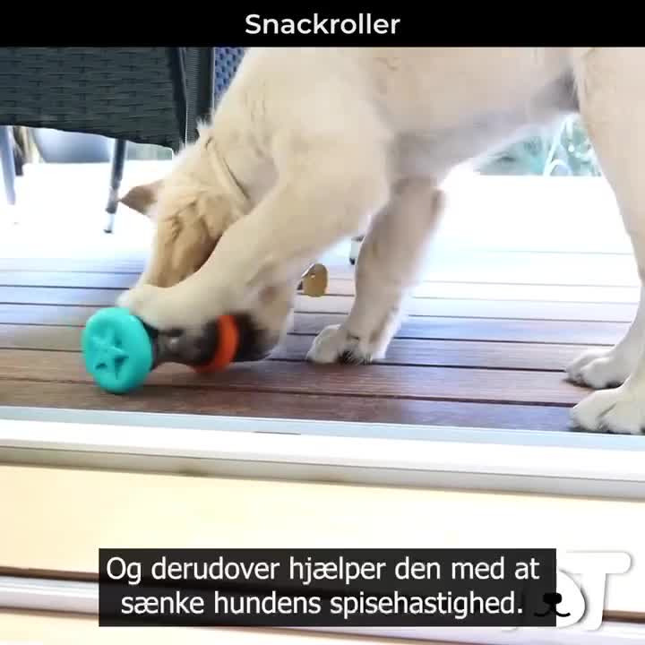 Opdatér dig her: Det nyeste fra Odder