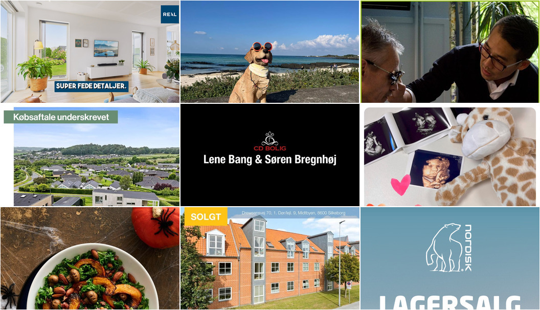 Nyt fra VangVedVængets VVS, Realmæglerne Silkeborg v/Connie Halberg, Hjertelyd - scanningsklinik for gravide og 7 andre